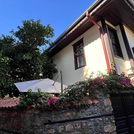 Villa Citronella Boutique Hotel Antalya Zewnętrze zdjęcie